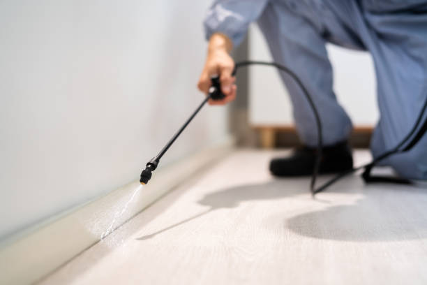 Licensed Termite Control service in Davenport, WA - Nex Pest Control