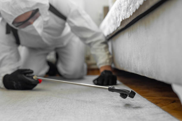 Professional Termite Control technician working in Davenport, WA