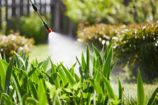 24/7 Emergency Termite Control experts in Davenport, WA