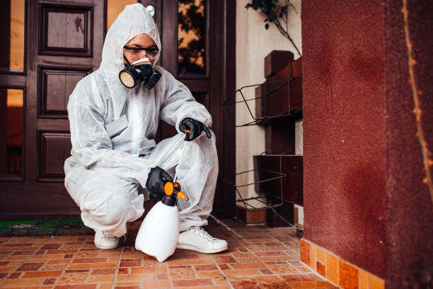 Reliable Termite Control contractor in Davenport, WA by Nex Pest Control