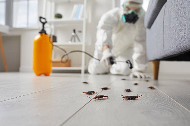 Trusted Rodent Control service in Davenport, WA - Nex Pest Control