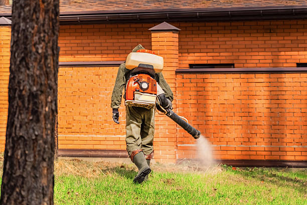 Trusted Ant Control service in Davenport, WA - Nex Pest Control